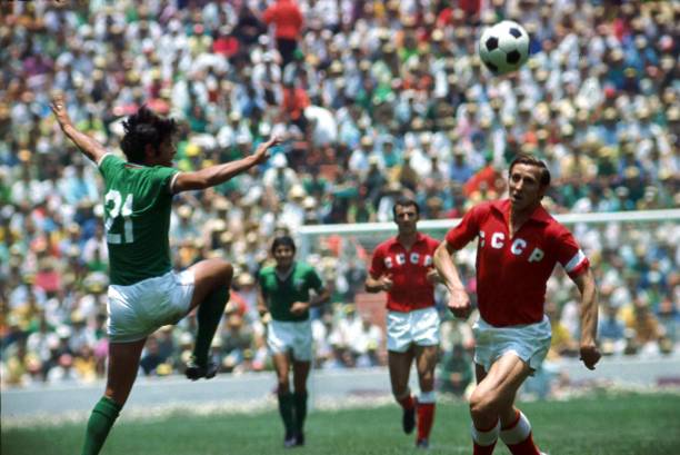 实施全面的 实施全面的